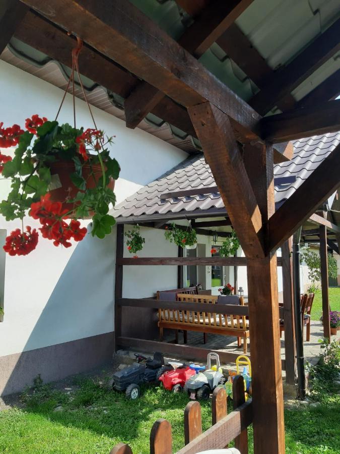 Casa De Oaspeti Laura Рышнов Экстерьер фото